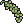 Birch Seed