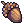 Oak Seed